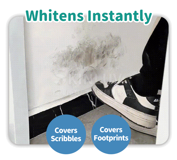 Wall Paint Roller (White)