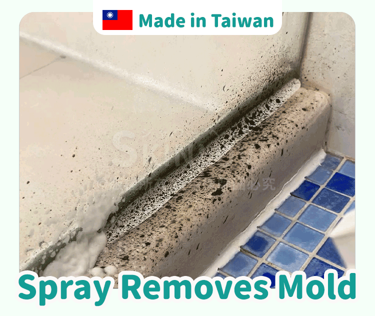Mold Removal Mousse