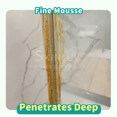 Mold Removal Mousse