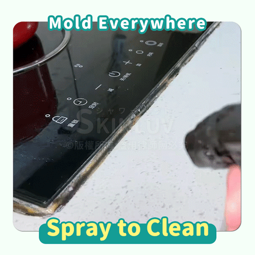 Mold Removal Mousse