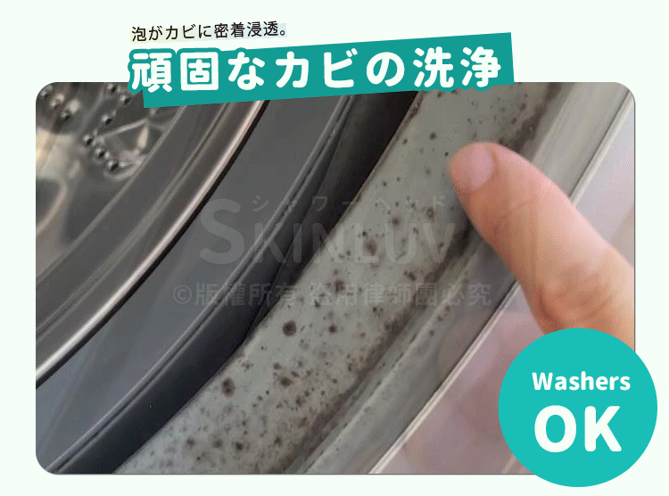 Mold Removal Mousse