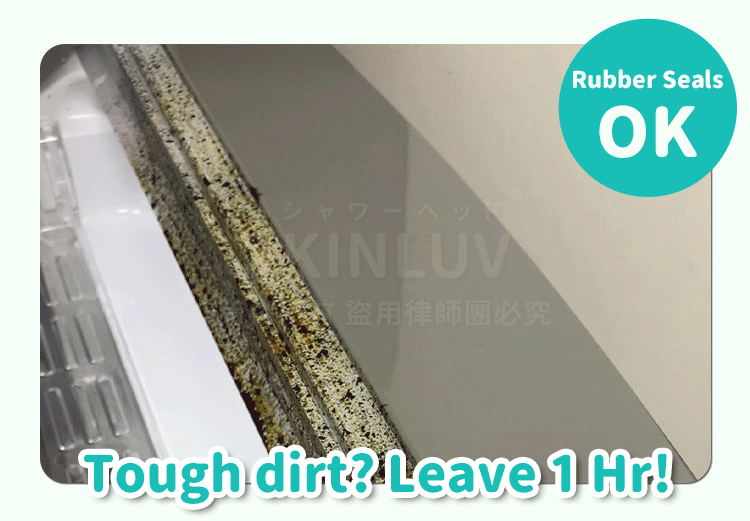 Mold Removal Mousse